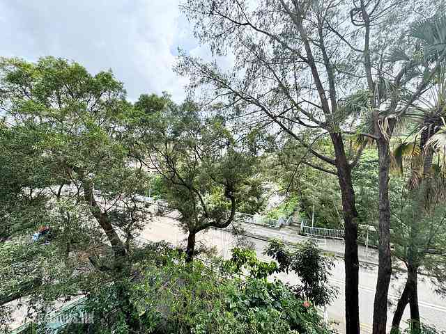 毕架山 - 毕架山花园19座 01