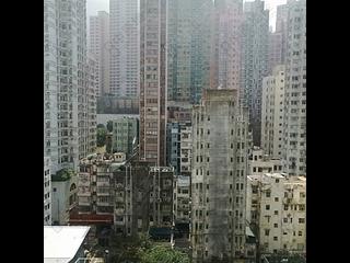 Sai Ying Pun - Island Crest 05