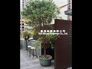 跑马地 - 碧丽苑 02