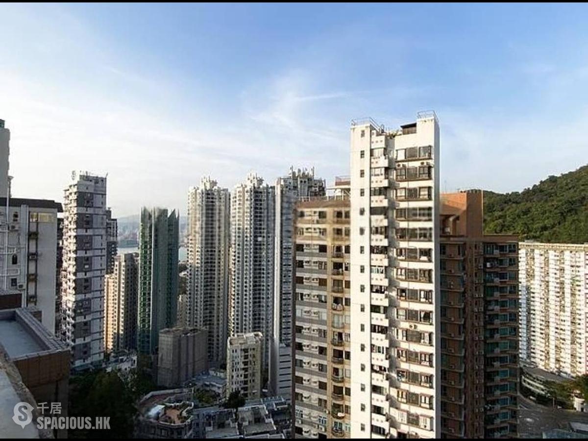 大坑 - 煜康台 01