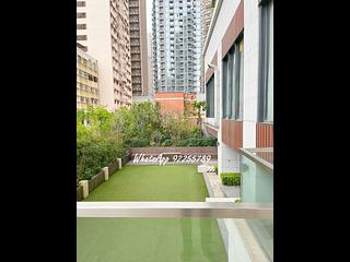 Sai Ying Pun - The Summa 15