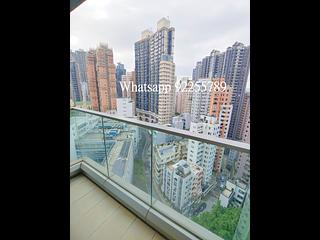 Sai Ying Pun - The Summa 03