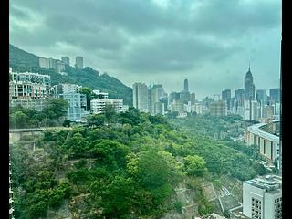 Happy Valley - Village Garden 03