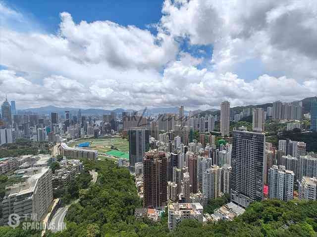 司徒拔道 - 松柏新邨 01