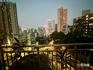 中半山 - 罗便臣花园大厦 03