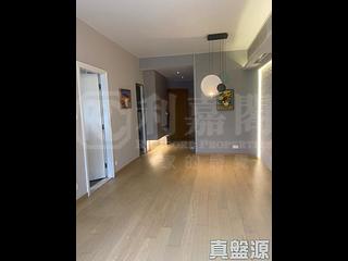 佐敦 - Grand Austin 1A座 15