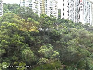 Tai Hang - Dragon Centre 04