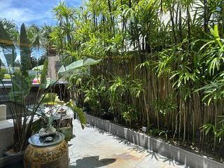 赤柱 - 红山半岛 03