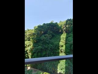 大坑 - 上林 04
