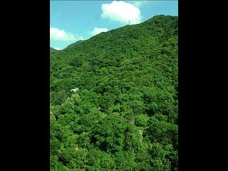 堅尼地城 - 西寧閣 02
