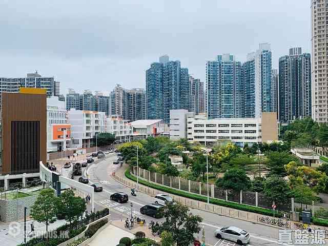 Tseung Kwan O - Savannah Block 3B 02