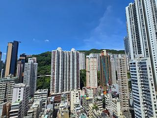 大坑 - 尚峦 11