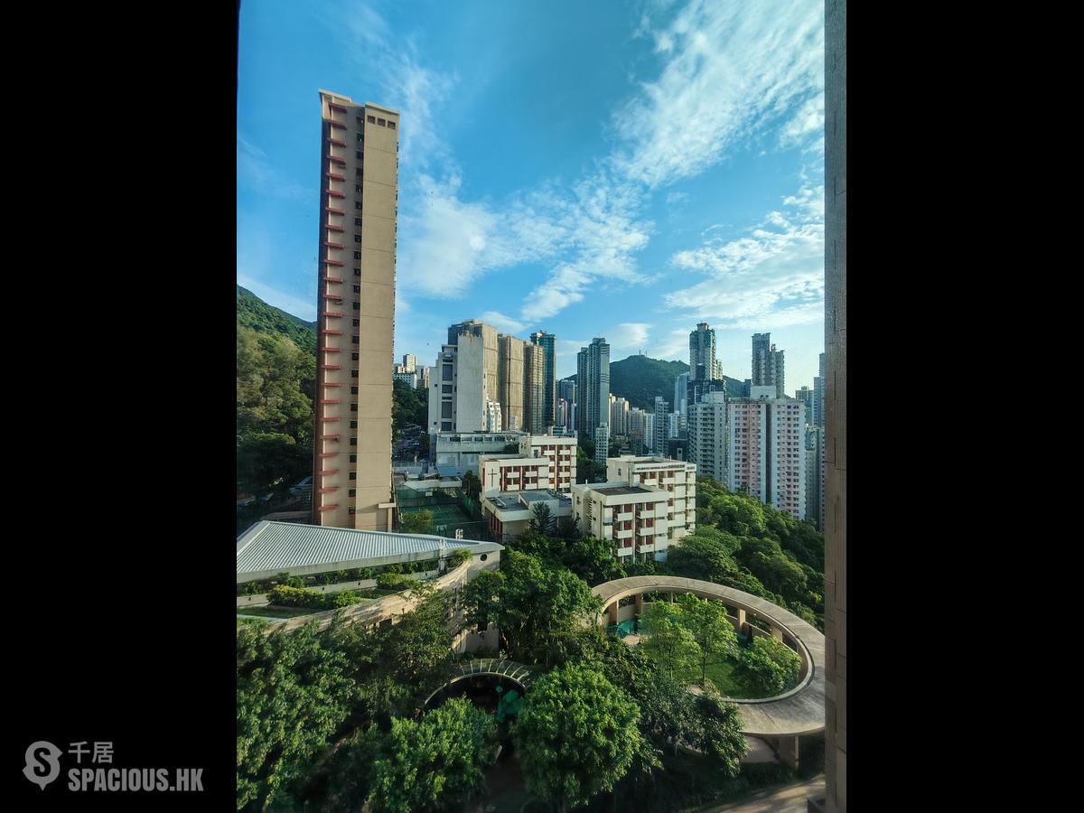 Shek Tong Tsui - The Belcher's 01