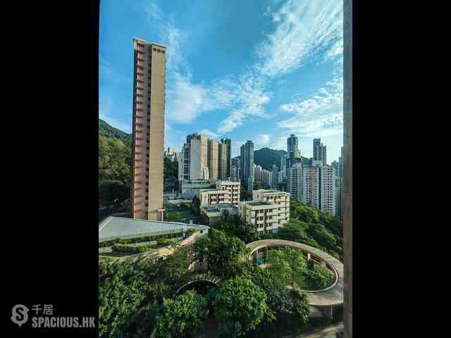 Shek Tong Tsui - The Belcher's 01