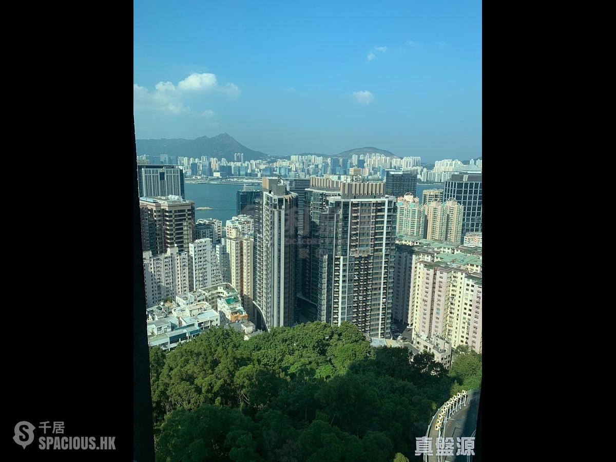 寶馬山 - 豪景 01