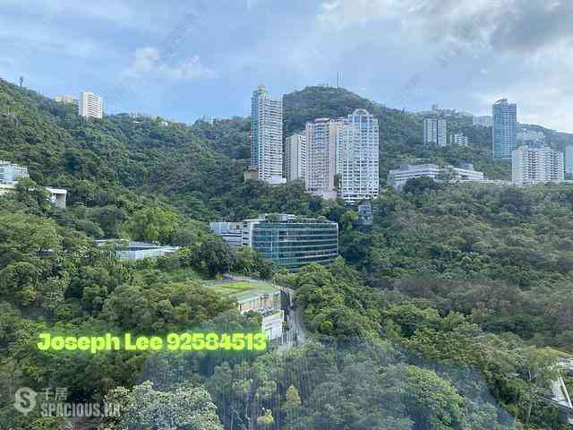 Wan Chai - Star Crest Block 1 01