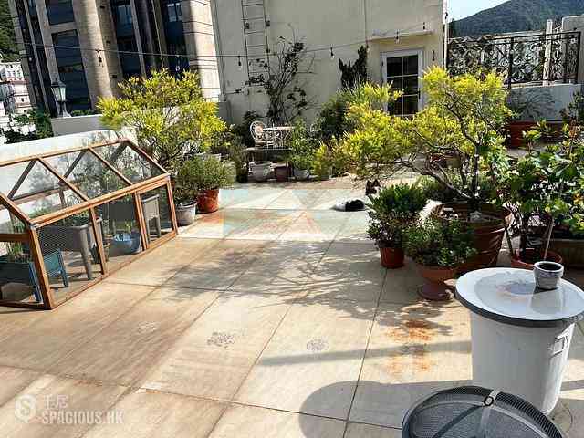 Jardines Lookout - Pinewood Garden 01