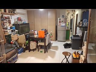 西貢 - 榕樹澳 04