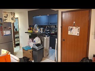 西貢 - 榕樹澳 05