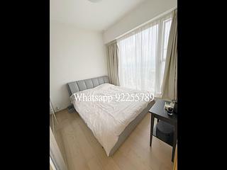 Sai Ying Pun - The Summa 05