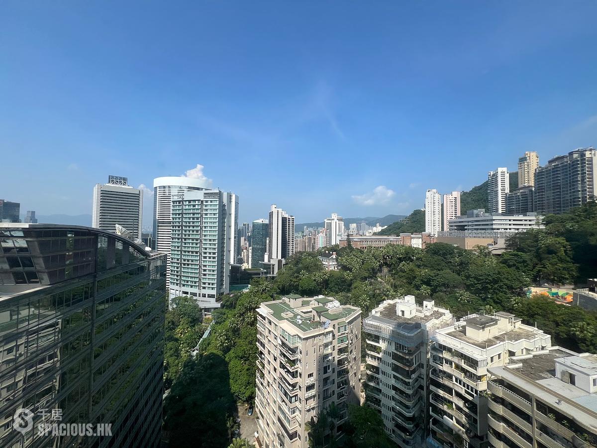 中半山 - 寶樺臺 01