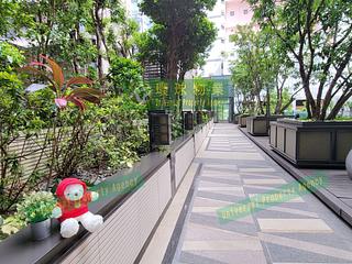 Kennedy Town - Imperial Kennedy 29