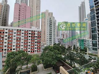 坚尼地城 - Lexington Hill 03
