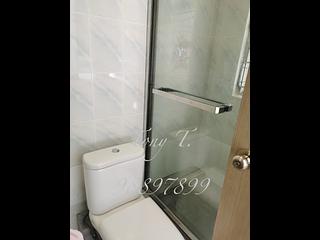 湾仔 - 凤凰阁 11