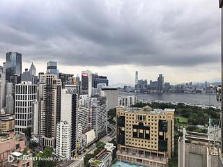 Tai Hang - The Warren 04