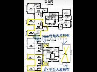 西半山 - 百合苑 18