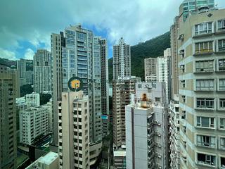 中半山 - 半山捌号 04
