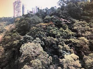北角 - 形品 04