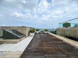 Chung Hom Kok - Scape 03
