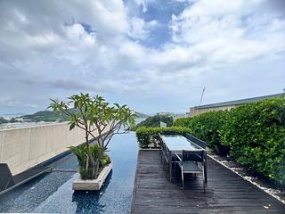 Chung Hom Kok - Scape 09