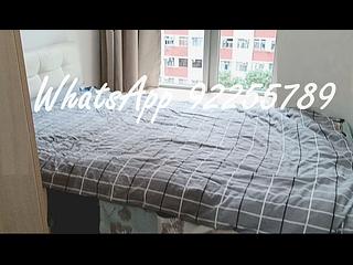 堅尼地城 - Lexington Hill 04