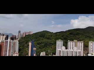 铜锣湾 - 隽据 14