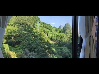 北角 - 柏蔚山 05
