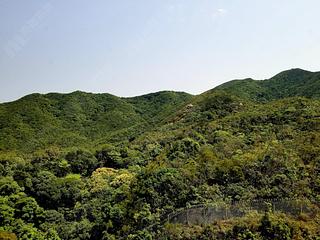Tai Tam - Hong Kong Parkview 10