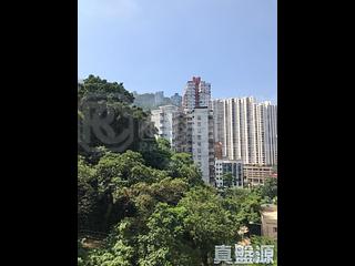 司徒拔道 - 嘉美閣 02