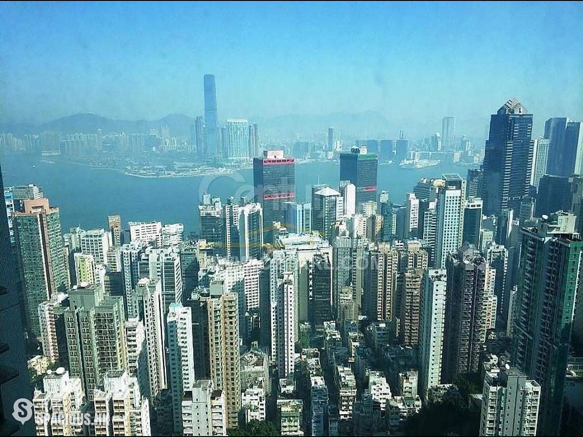 西半山 - 罗便臣道80号 01