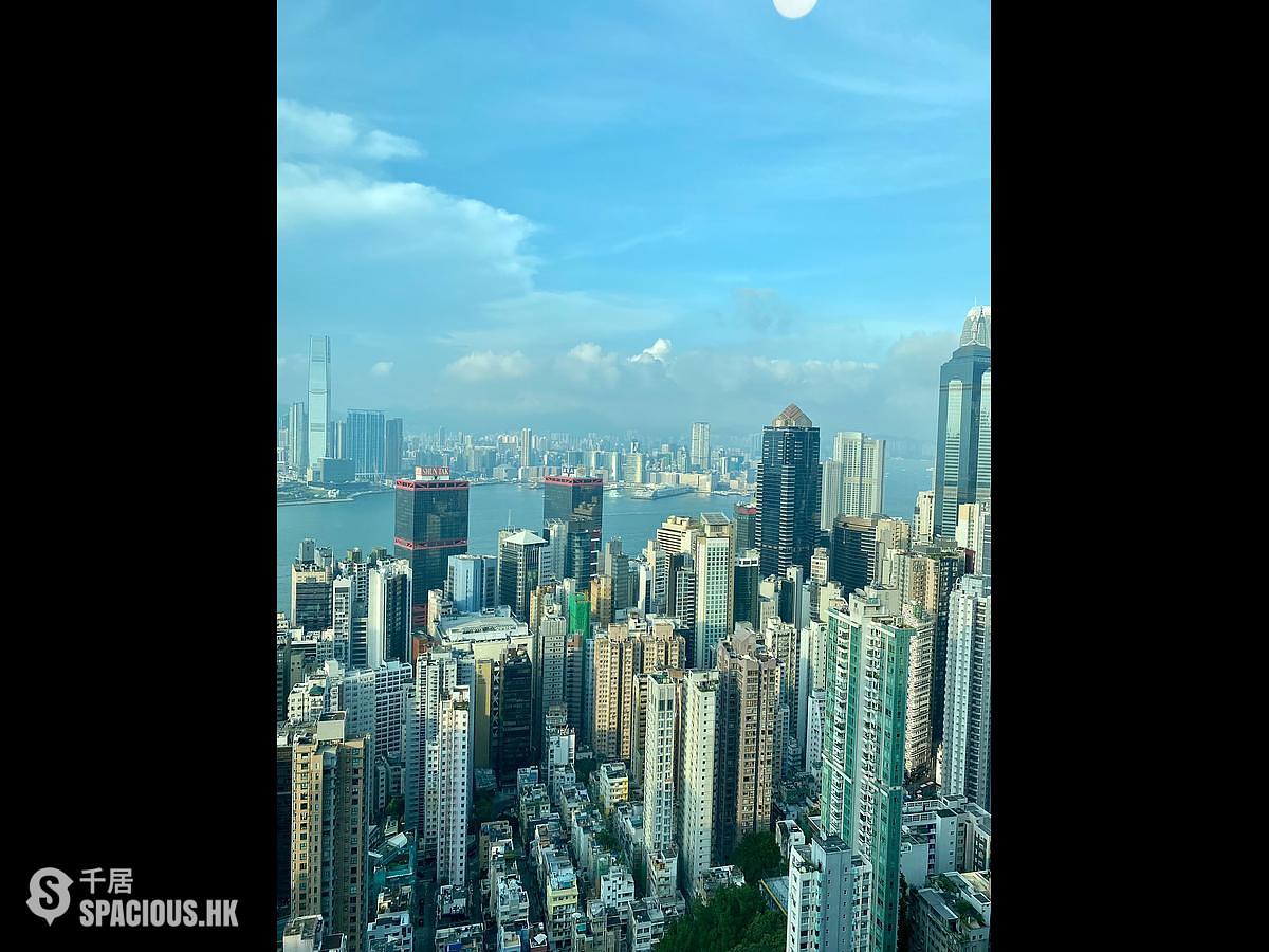 西半山 - 罗便臣道80号 01