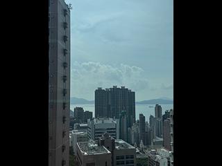 西半山 - 巴丙顿山 11