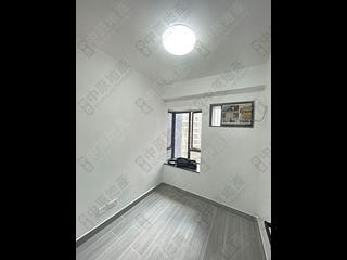 Noho - Hollywood Terrace 03