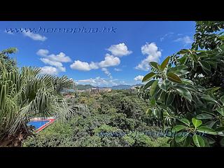 西貢 - Green Wood Villa 19