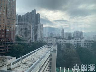 大坑 - 龍園 07