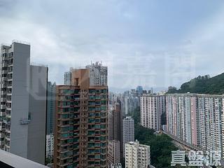大坑 - 龍園 10