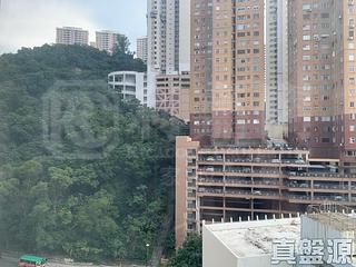 大坑 - 龍園 11