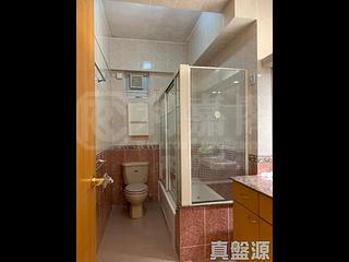 大坑 - 龍園 14