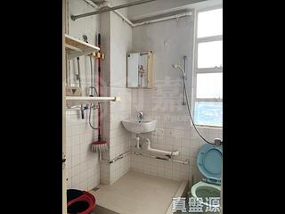 大坑 - 龍園 15