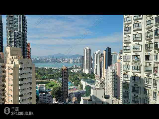 Tai Hang - Y.I 01